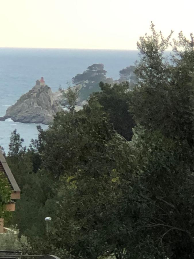 Apartmani Lime Petrovac Luaran gambar